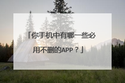 你手机中有哪一些必用不删的APP?