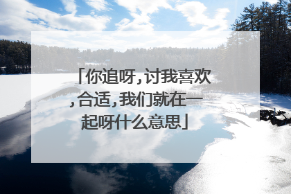 你追呀,讨我喜欢,合适,我们就在一起呀什么意思