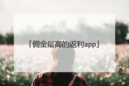 佣金最高的返利app