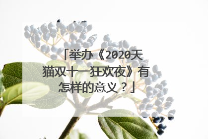 举办《2020天猫双十一狂欢夜》有怎样的意义?