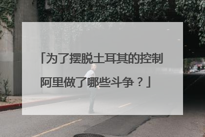 为了摆脱土耳其的控制阿里做了哪些斗争?