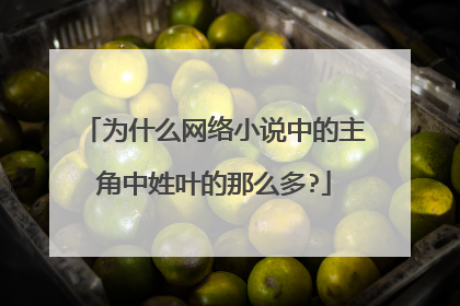 为什么网络小说中的主角中姓叶的那么多?