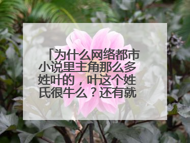 为什么网络都市小说里主角那么多姓叶的,叶这个姓氏很牛么?还有就是名字了经常有一个辰或者晨,为什么?