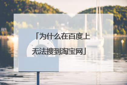 为什么在百度上无法搜到淘宝网