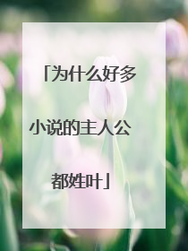 为什么好多小说的主人公都姓叶