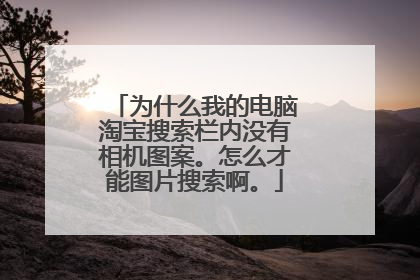 为什么我的电脑淘宝搜索栏内没有相机图案。怎么才能图片搜索啊。