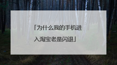 为什么我的手机进入淘宝老是闪退