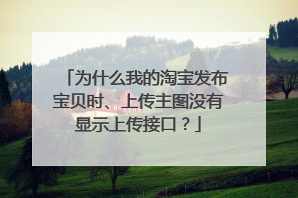 为什么我的淘宝发布宝贝时、上传主图没有显示上传接口？