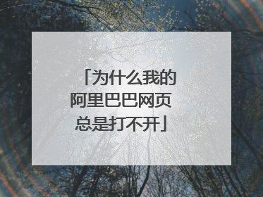 为什么我的阿里巴巴网页总是打不开