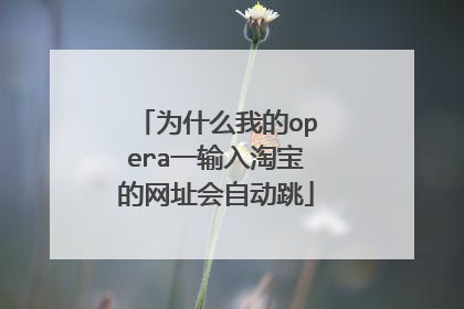 为什么我的opera一输入淘宝的网址会自动跳