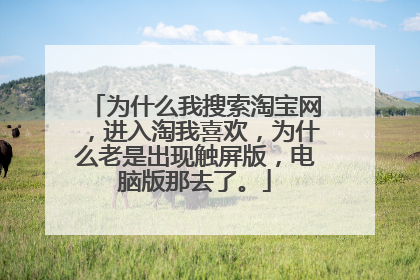 为什么我搜索淘宝网，进入淘我喜欢，为什么老是出现触屏版，电脑版那去了。