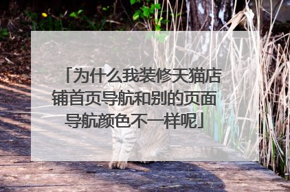 为什么我装修天猫店铺首页导航和别的页面导航颜色不一样呢