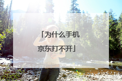 为什么手机京东打不开