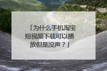 为什么手机淘宝短视频下载可以播放但是没声？