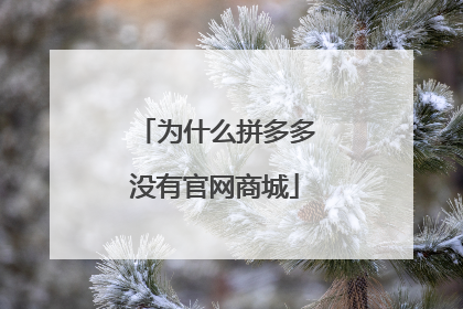 为什么拼多多没有官网商城