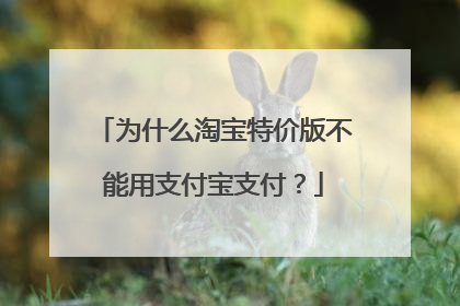 为什么淘宝特价版不能用支付宝支付?