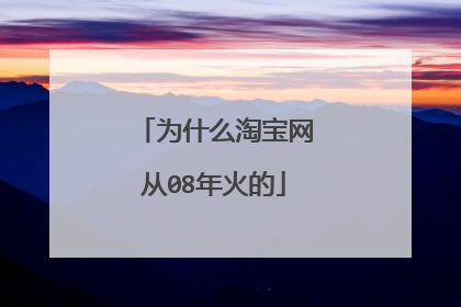 为什么淘宝网从08年火的