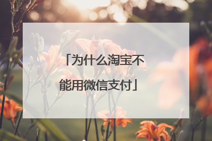 为什么淘宝不能用微信支付