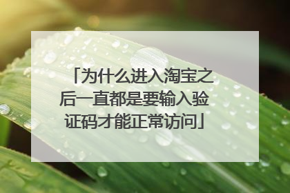 为什么进入淘宝之后一直都是要输入验证码才能正常访问