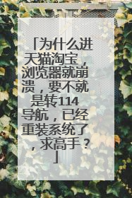 为什么进天猫淘宝,浏览器就崩溃,要不就是转114导航,已经重装系统了,求高手?