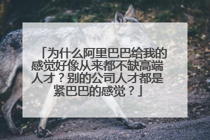为什么阿里巴巴给我的感觉好像从来都不缺高端人才?别的公司人才都是紧巴巴的感觉?