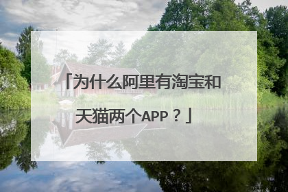 为什么阿里有淘宝和天猫两个APP?