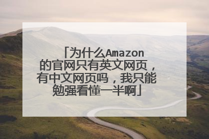为什么Amazon的官网只有英文网页,有中文网页吗,我只能勉强看懂一半啊