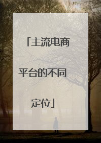 主流电商平台的不同定位