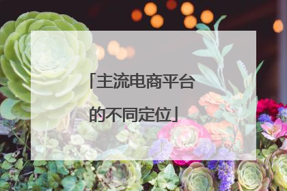 主流电商平台的不同定位