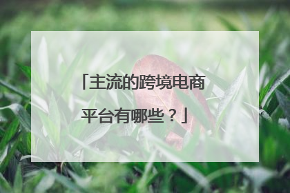 主流的跨境电商平台有哪些?