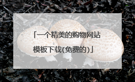 一个精美的购物网站模板下载(免费的)