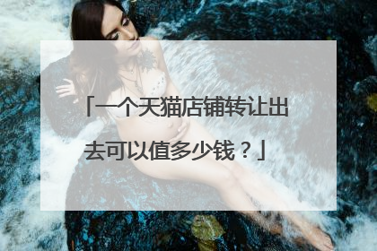 一个天猫店铺转让出去可以值多少钱？