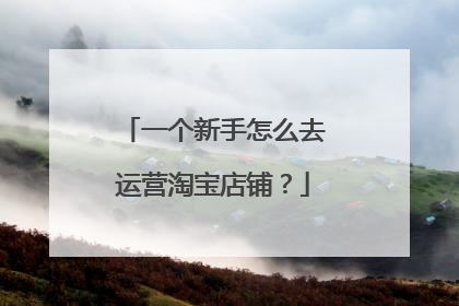 一个新手怎么去运营淘宝店铺?
