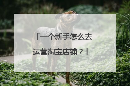 一个新手怎么去运营淘宝店铺？