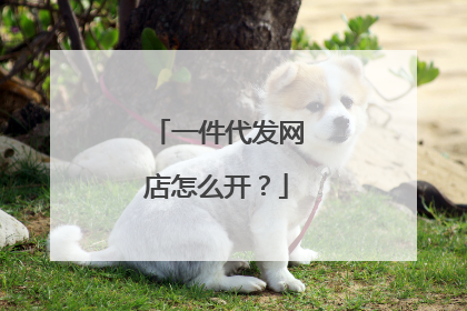 一件代发网店怎么开?