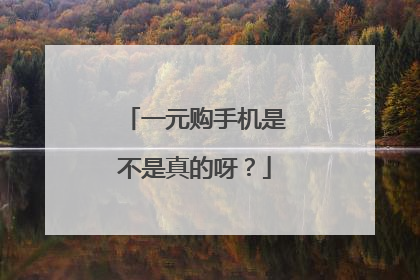 一元购手机是不是真的呀？