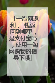 一淘网返利, 钱返回到哪里,是支付宝吗,使用一淘网购物的指导下哦