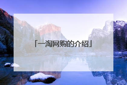 一淘网购的介绍