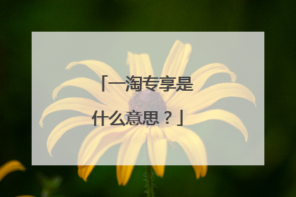 一淘专享是什么意思?