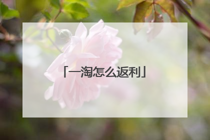 一淘怎么返利