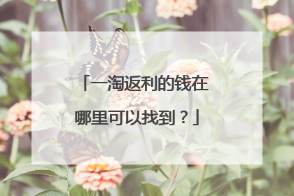 一淘返利的钱在哪里可以找到?