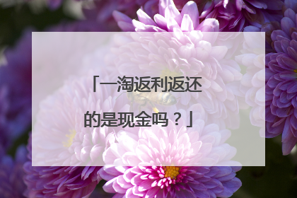 一淘返利返还的是现金吗?