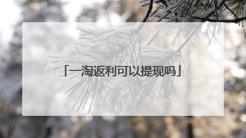 一淘返利可以提现吗