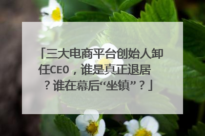 三大电商平台创始人卸任CEO,谁是真正退居?谁在幕后“坐镇”?