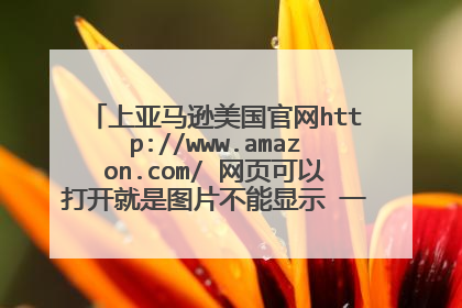 上亚马逊美国官网http://www.amazon.com/ 网页可以打开就是图片不能显示 一直是红叉 求解