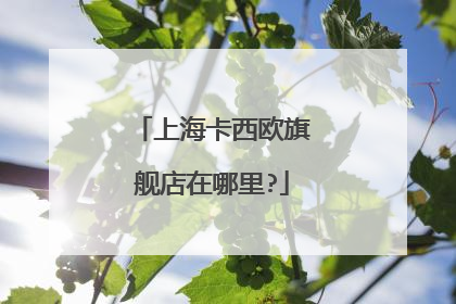 上海卡西欧旗舰店在哪里?
