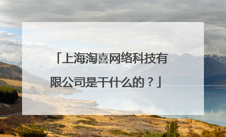 上海淘喜网络科技有限公司是干什么的?