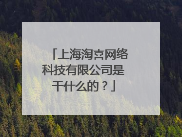 上海淘喜网络科技有限公司是干什么的?