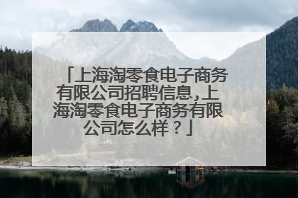 上海淘零食电子商务有限公司招聘信息,上海淘零食电子商务有限公司怎么样？