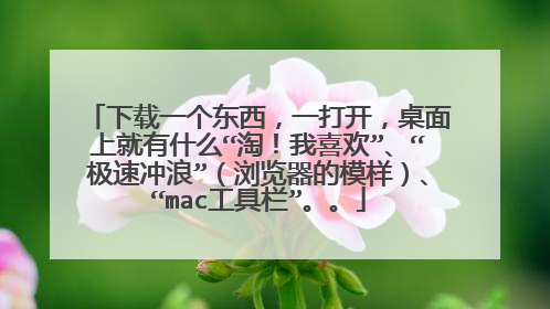 下载一个东西,一打开,桌面上就有什么“淘!我喜欢”、“极速冲浪”(浏览器的模样)、“mac工具栏”。。
